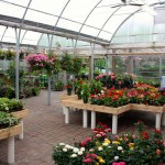 Greenhouse Interior_Summer-03