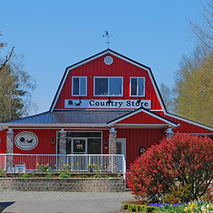 Campbell's Gold Honey Farm and Meadery