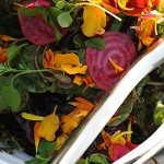 glorious organics salad 1