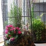 indoor bird planter